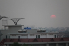 Rooftop view at dusk